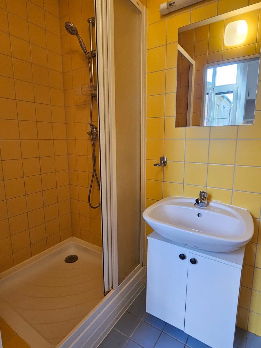 Pronájem bytu 1+kk 32 m², Tábor, Brno, Jihomoravský kraj Pronájem bytu 1+kk 32 m², Tábor, Brno, Jihomoravský kraj