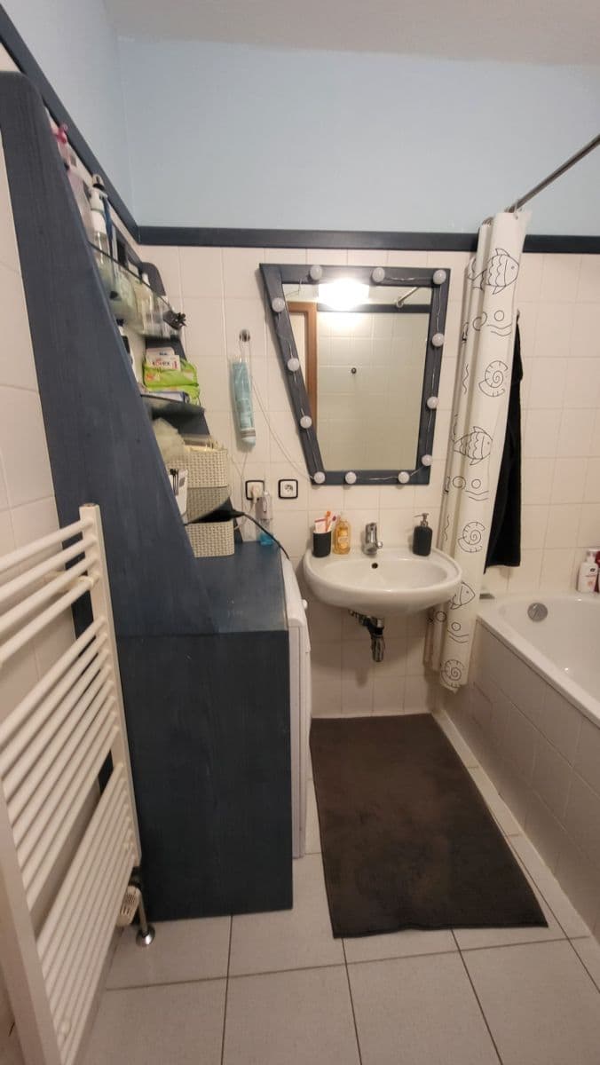 Pronájem bytu 1+1 40 m², K Haltýři, Praha, Praha Pronájem bytu 1+1 40 m², K Haltýři, Praha, Praha