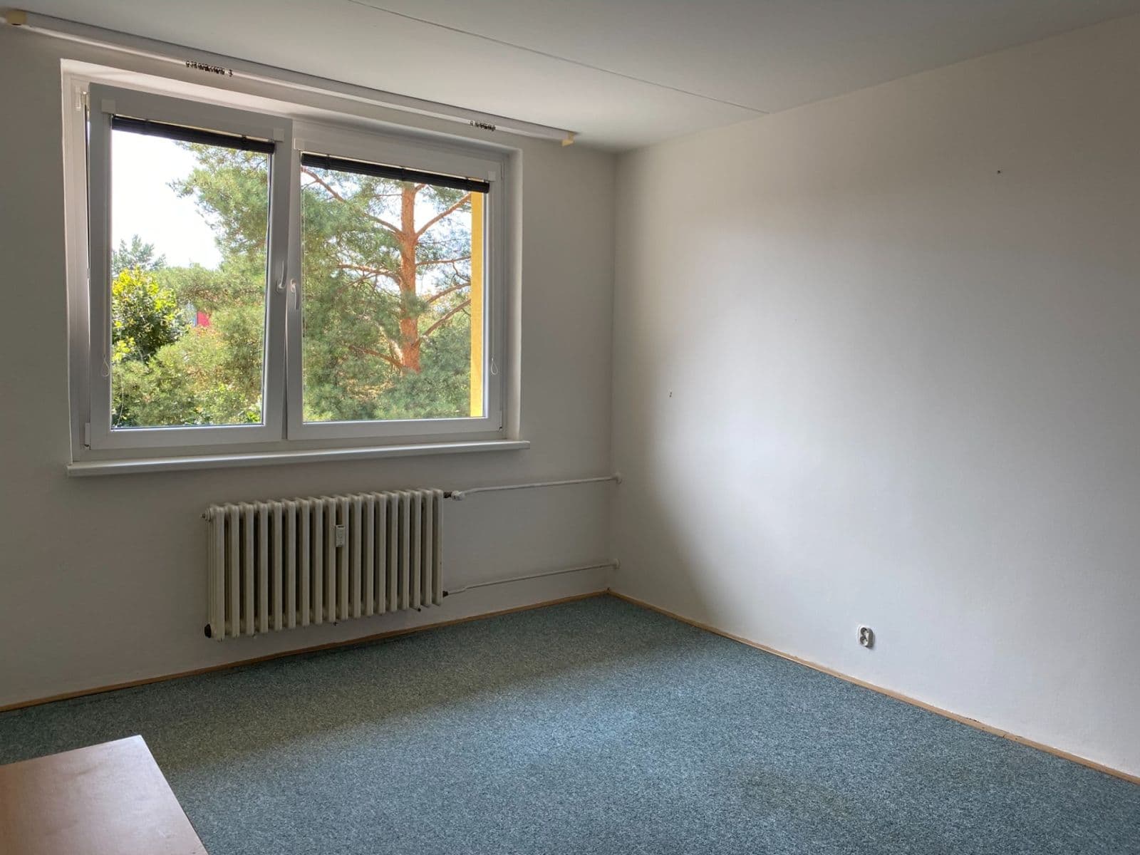 Pronájem bytu 2+1 56 m², Řezáčova, Brno, Jihomoravský kraj Pronájem bytu 2+1 56 m², Řezáčova, Brno, Jihomoravský kraj