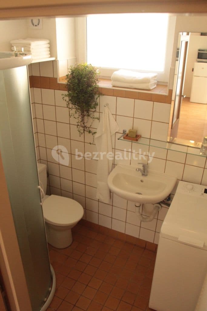 Pronájem bytu Garsoniéra 24 m², Viniční, Brno, Jihomoravský kraj Pronájem bytu Garsoniéra 24 m², Viniční, Brno, Jihomoravský kraj