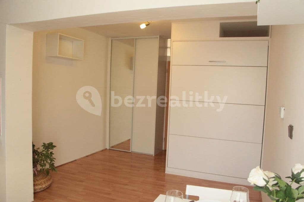 Pronájem bytu Garsoniéra 24 m², Viniční, Brno, Jihomoravský kraj Pronájem bytu Garsoniéra 24 m², Viniční, Brno, Jihomoravský kraj