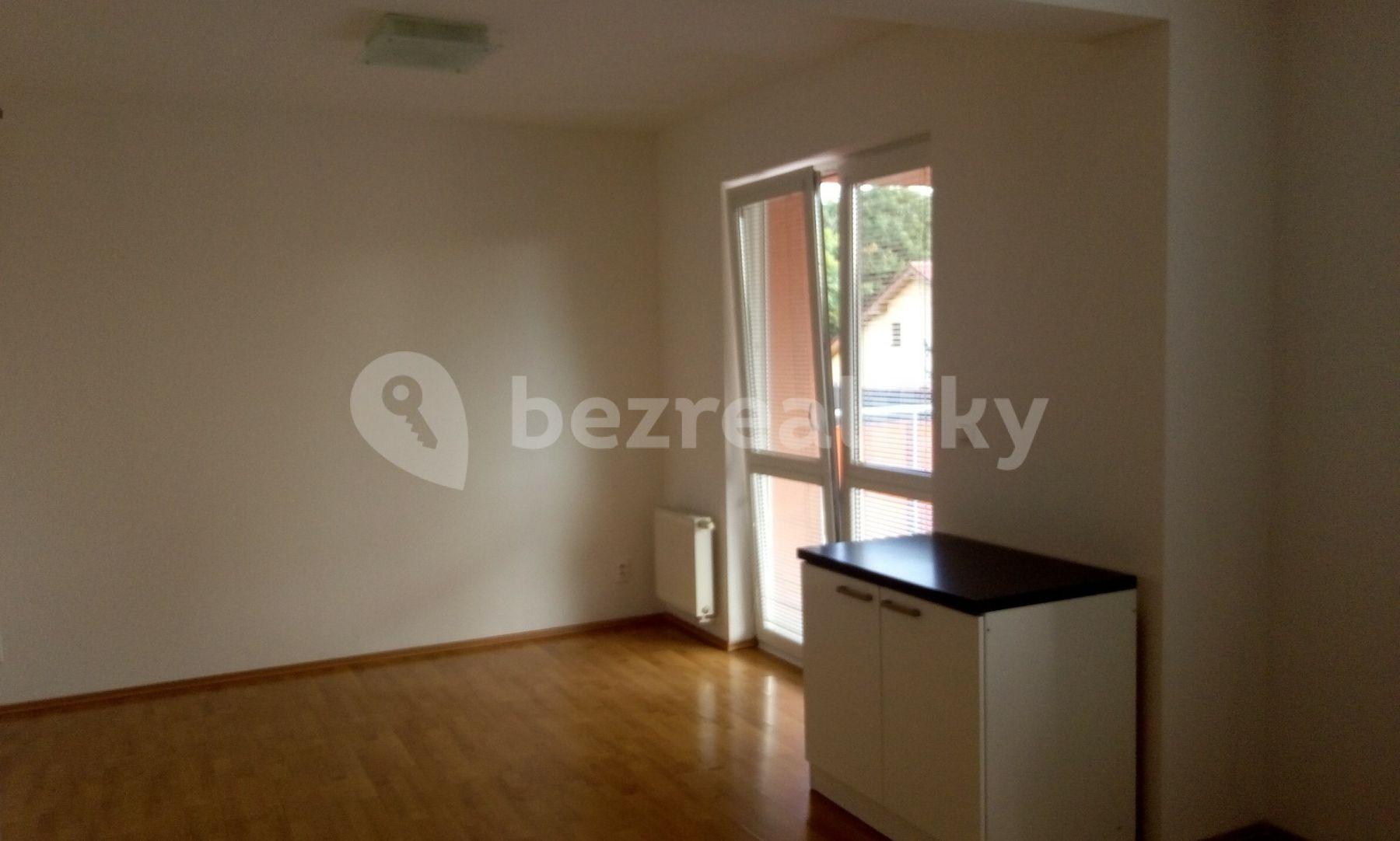 Pronájem bytu 1+kk 41 m², V Javorech, Praha, Praha
