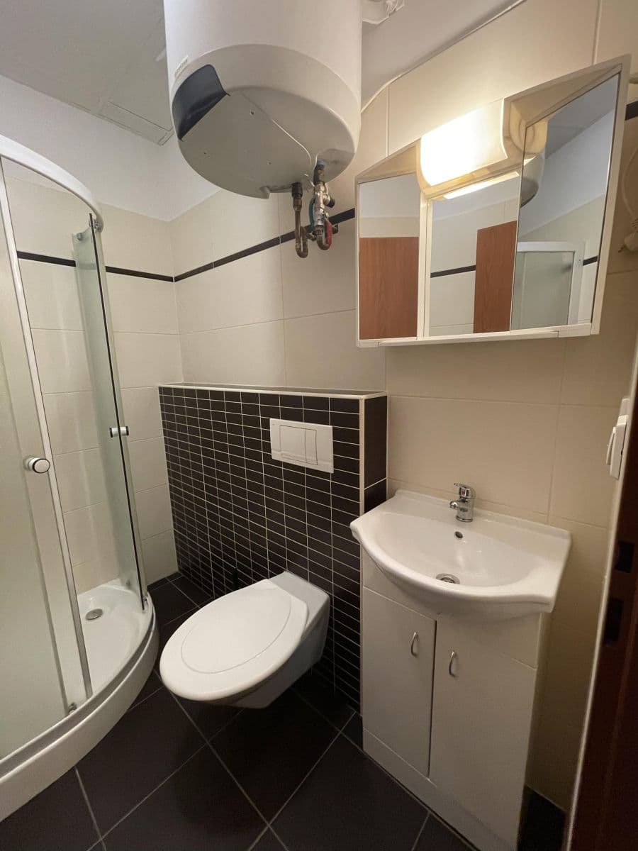 Pronájem bytu 1+kk 25 m², Provazníkova, Brno, Jihomoravský kraj Pronájem bytu 1+kk 25 m², Provazníkova, Brno, Jihomoravský kraj
