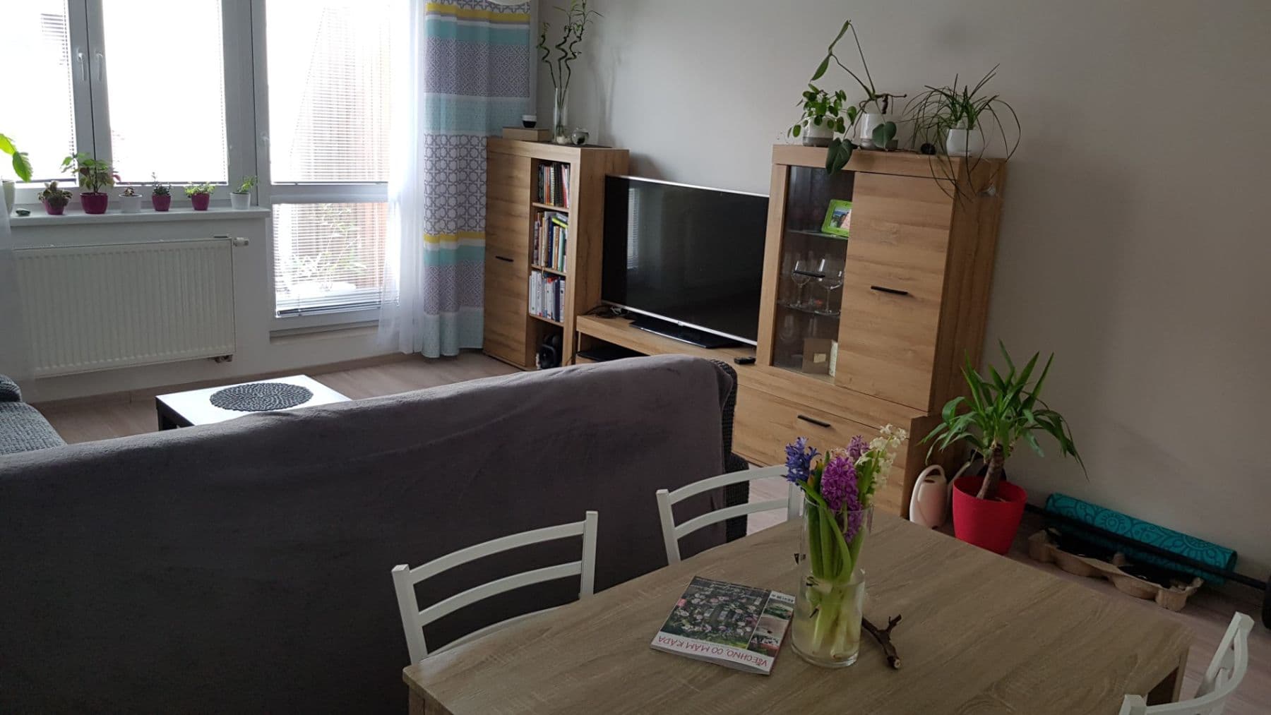 Pronájem bytu 2+1 60 m², Pionýrská, Hustopeče, Jihomoravský kraj Pronájem bytu 2+1 60 m², Pionýrská, Hustopeče, Jihomoravský kraj