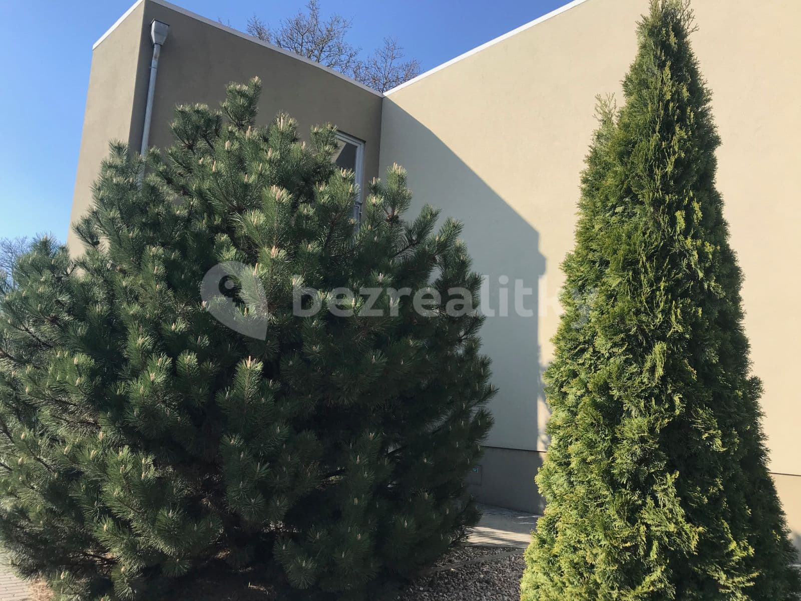 Pronájem bytu 1+kk 37 m², Rušná, Brno, Jihomoravský kraj Pronájem bytu 1+kk 37 m², Rušná, Brno, Jihomoravský kraj