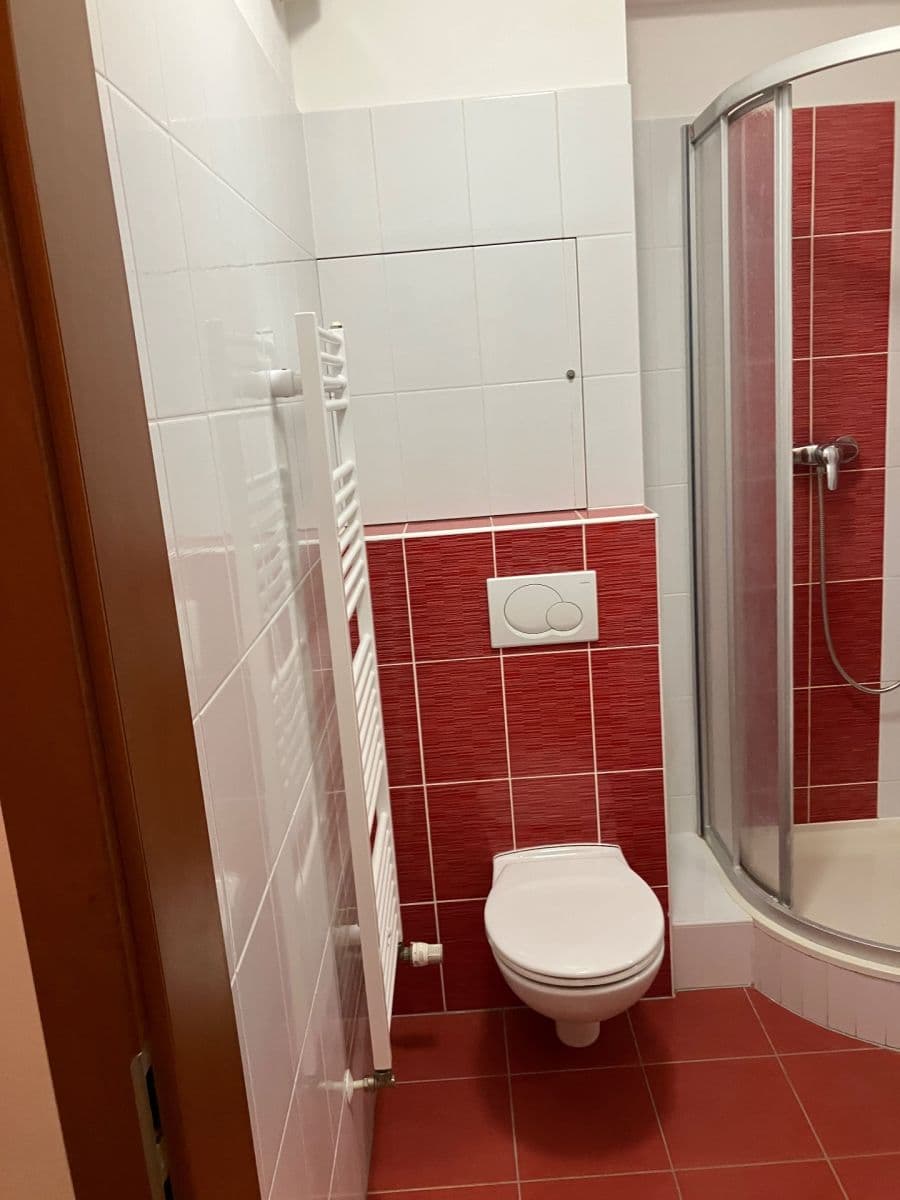Pronájem bytu 1+kk 27 m², Purkyňova, Brno, Jihomoravský kraj Pronájem bytu 1+kk 27 m², Purkyňova, Brno, Jihomoravský kraj