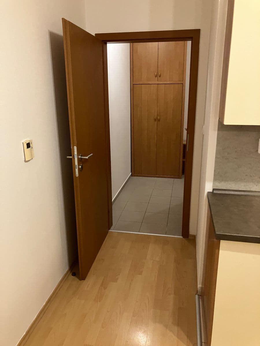 Pronájem bytu 1+kk 27 m², Purkyňova, Brno, Jihomoravský kraj Pronájem bytu 1+kk 27 m², Purkyňova, Brno, Jihomoravský kraj