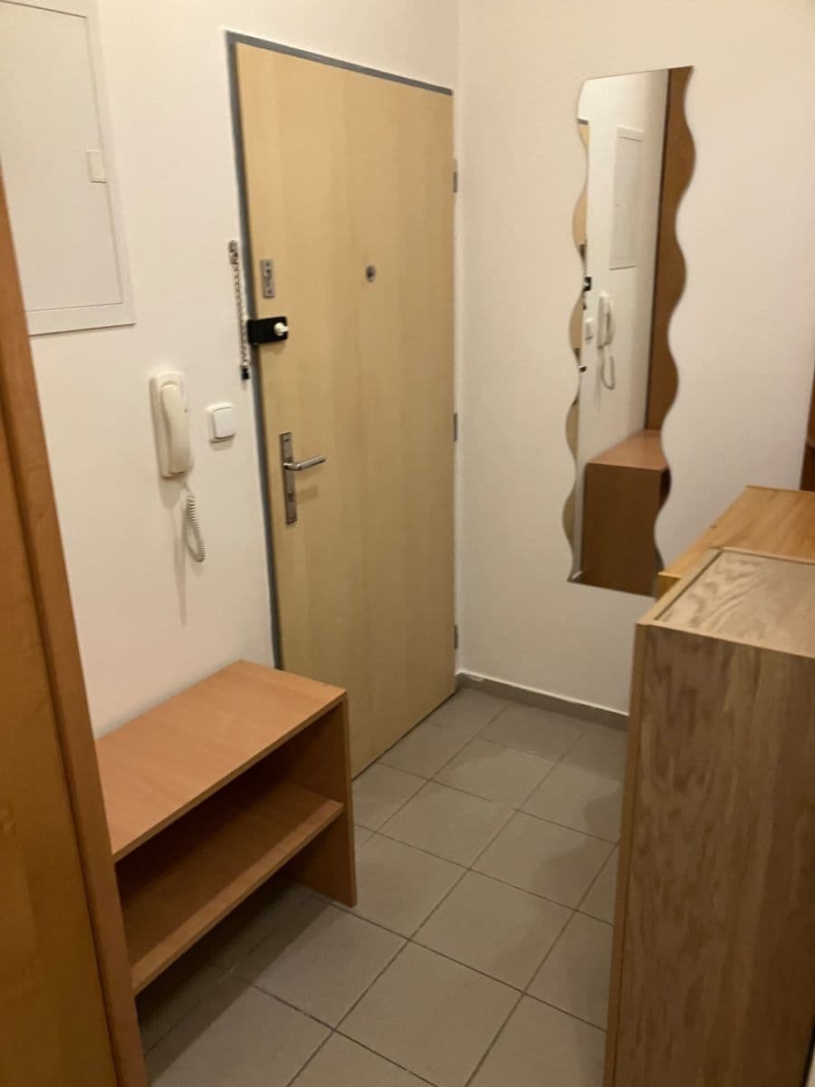 Pronájem bytu 1+kk 27 m², Purkyňova, Brno, Jihomoravský kraj Pronájem bytu 1+kk 27 m², Purkyňova, Brno, Jihomoravský kraj