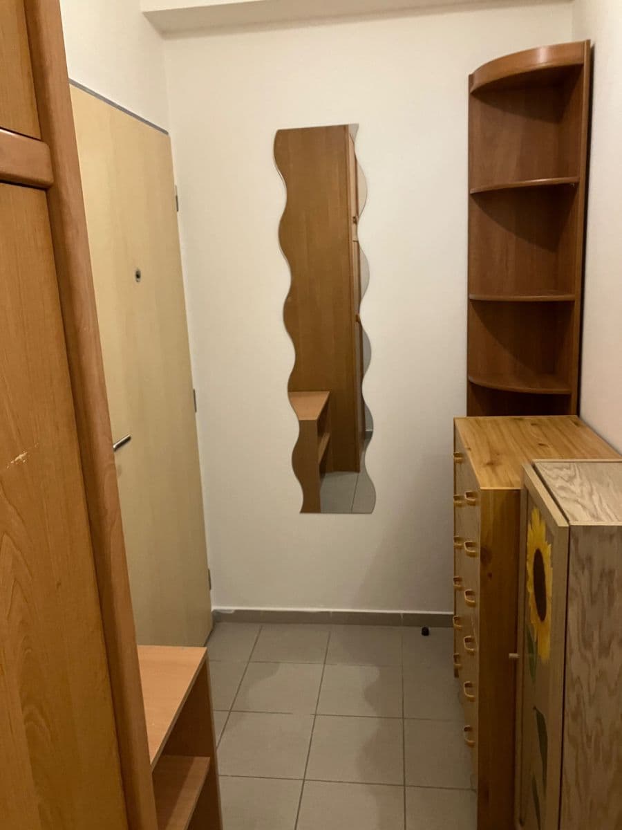 Pronájem bytu 1+kk 27 m², Purkyňova, Brno, Jihomoravský kraj Pronájem bytu 1+kk 27 m², Purkyňova, Brno, Jihomoravský kraj