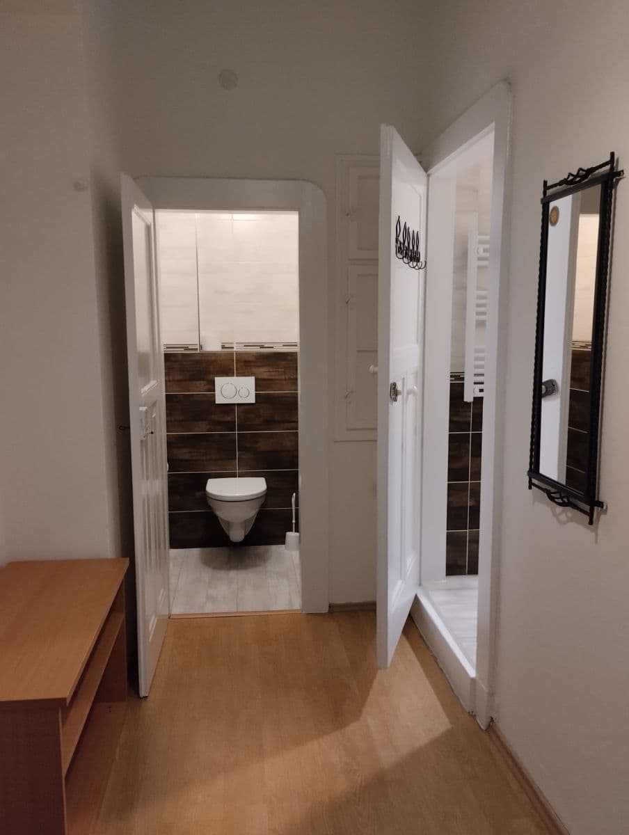 Pronájem bytu 1+1 50 m², U Výstaviště, Praha, Praha Pronájem bytu 1+1 50 m², U Výstaviště, Praha, Praha