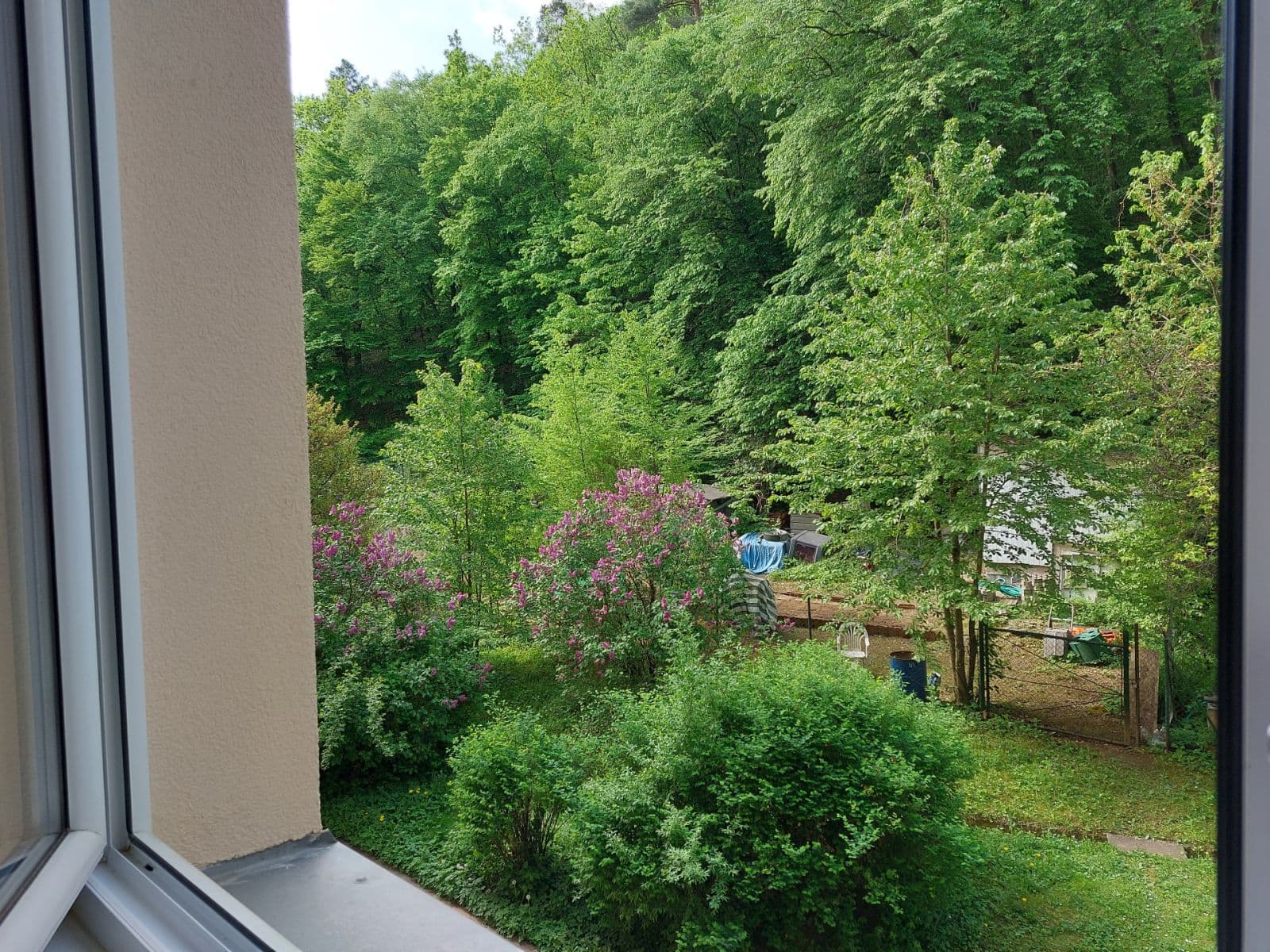 Pronájem bytu 1+1 32 m², Jasanová, Brno, Jihomoravský kraj Pronájem bytu 1+1 32 m², Jasanová, Brno, Jihomoravský kraj
