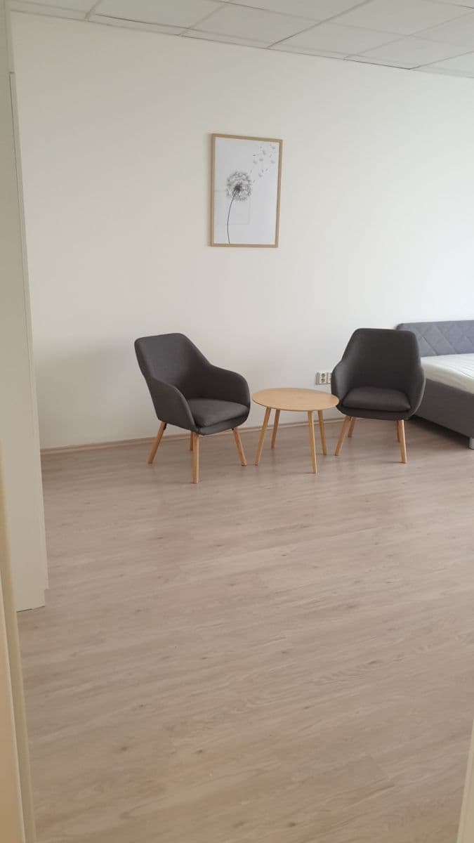 Pronájem bytu 2+1 65 m², Kounicova, Brno, Jihomoravský kraj Pronájem bytu 2+1 65 m², Kounicova, Brno, Jihomoravský kraj