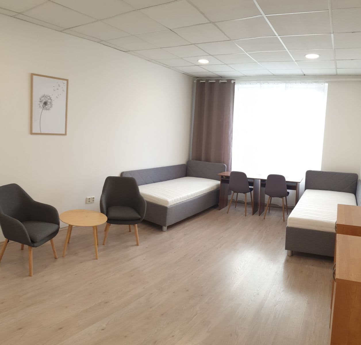 Pronájem bytu 2+1 65 m², Kounicova, Brno, Jihomoravský kraj Pronájem bytu 2+1 65 m², Kounicova, Brno, Jihomoravský kraj