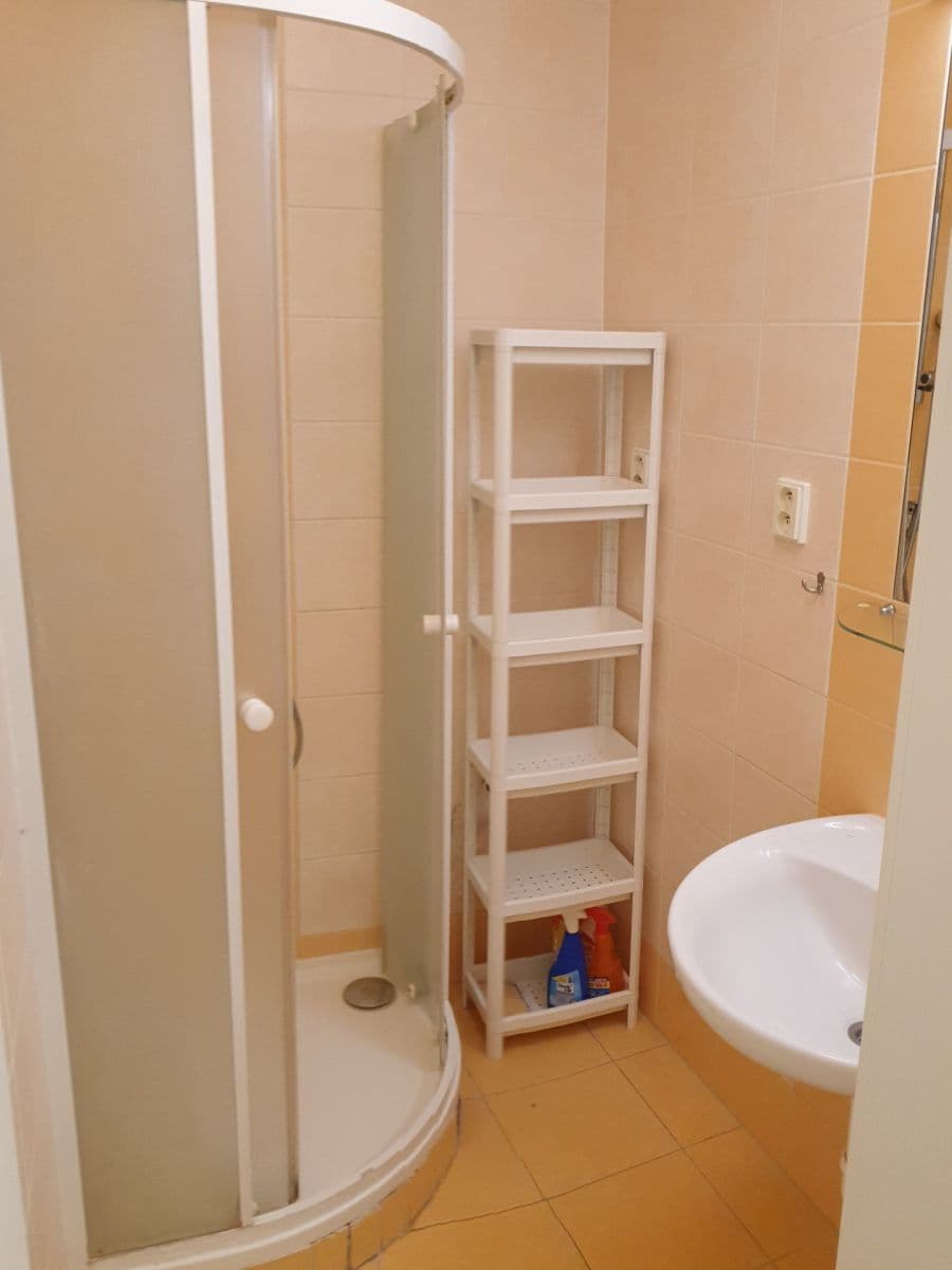 Pronájem bytu 2+1 65 m², Kounicova, Brno, Jihomoravský kraj Pronájem bytu 2+1 65 m², Kounicova, Brno, Jihomoravský kraj