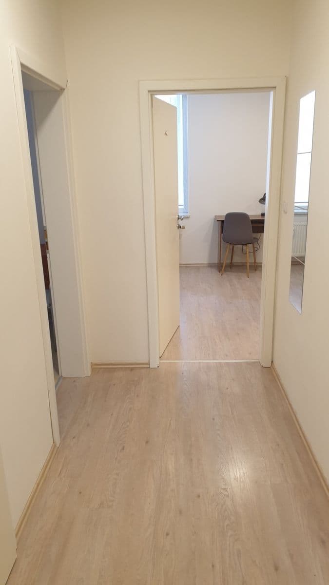 Pronájem bytu 2+1 65 m², Kounicova, Brno, Jihomoravský kraj Pronájem bytu 2+1 65 m², Kounicova, Brno, Jihomoravský kraj