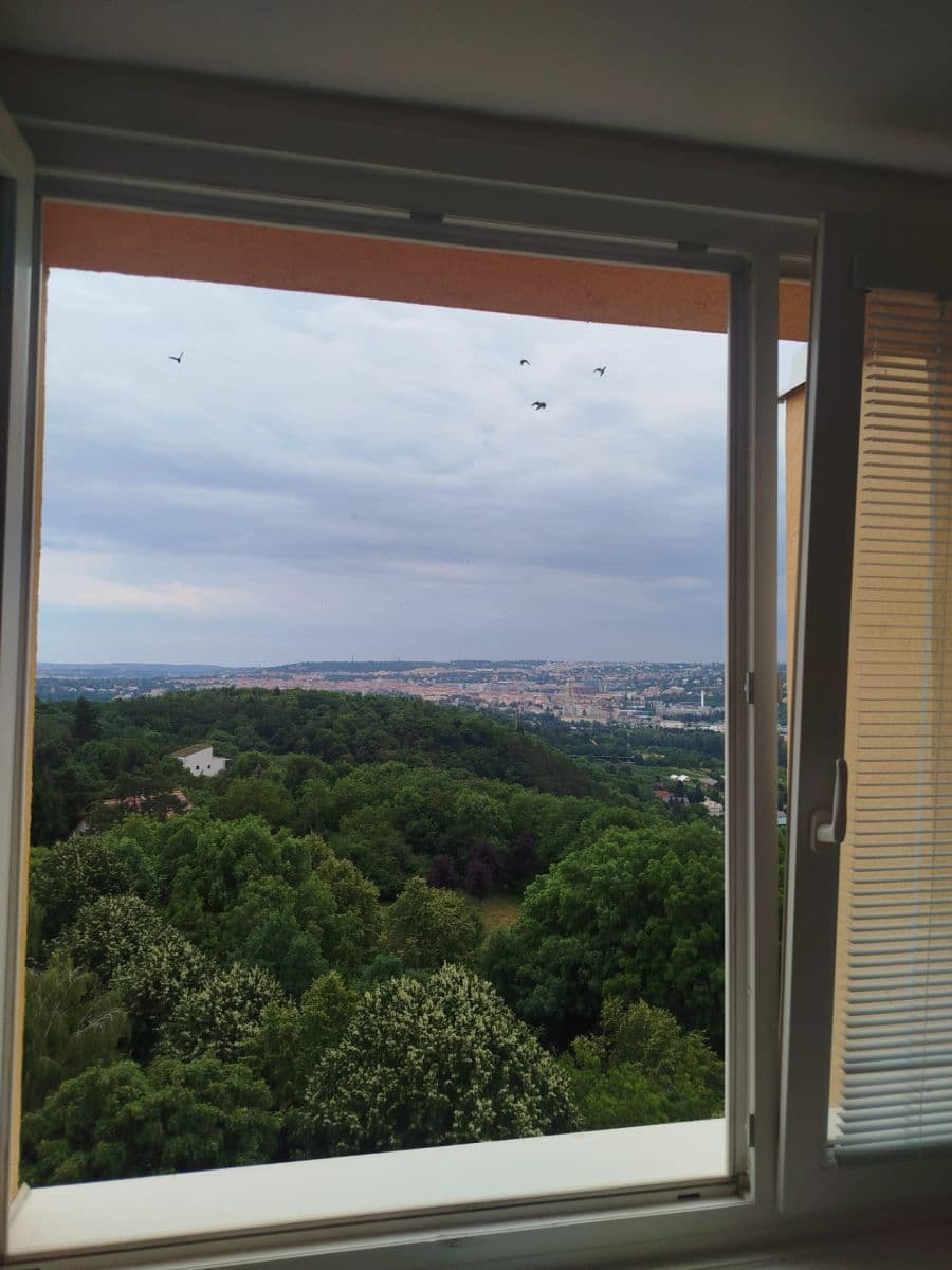 Pronájem bytu 4+1 10 m², U Pentlovky, Praha, Praha Pronájem bytu 4+1 10 m², U Pentlovky, Praha, Praha