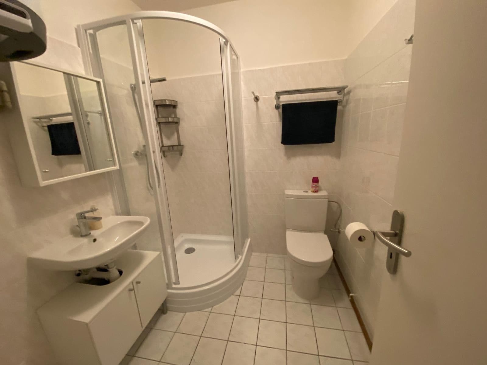 Pronájem bytu 1+kk 22 m², Mánesova, České Budějovice, Jihočeský kraj Pronájem bytu 1+kk 22 m², Mánesova, České Budějovice, Jihočeský kraj