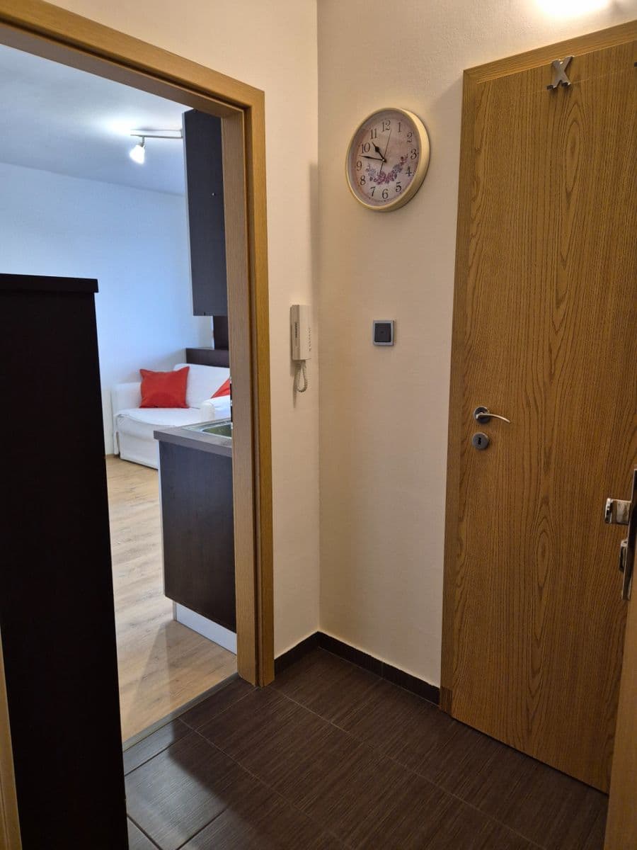 Pronájem bytu 1+1 30 m², Na úlehli, Praha, Praha Pronájem bytu 1+1 30 m², Na úlehli, Praha, Praha