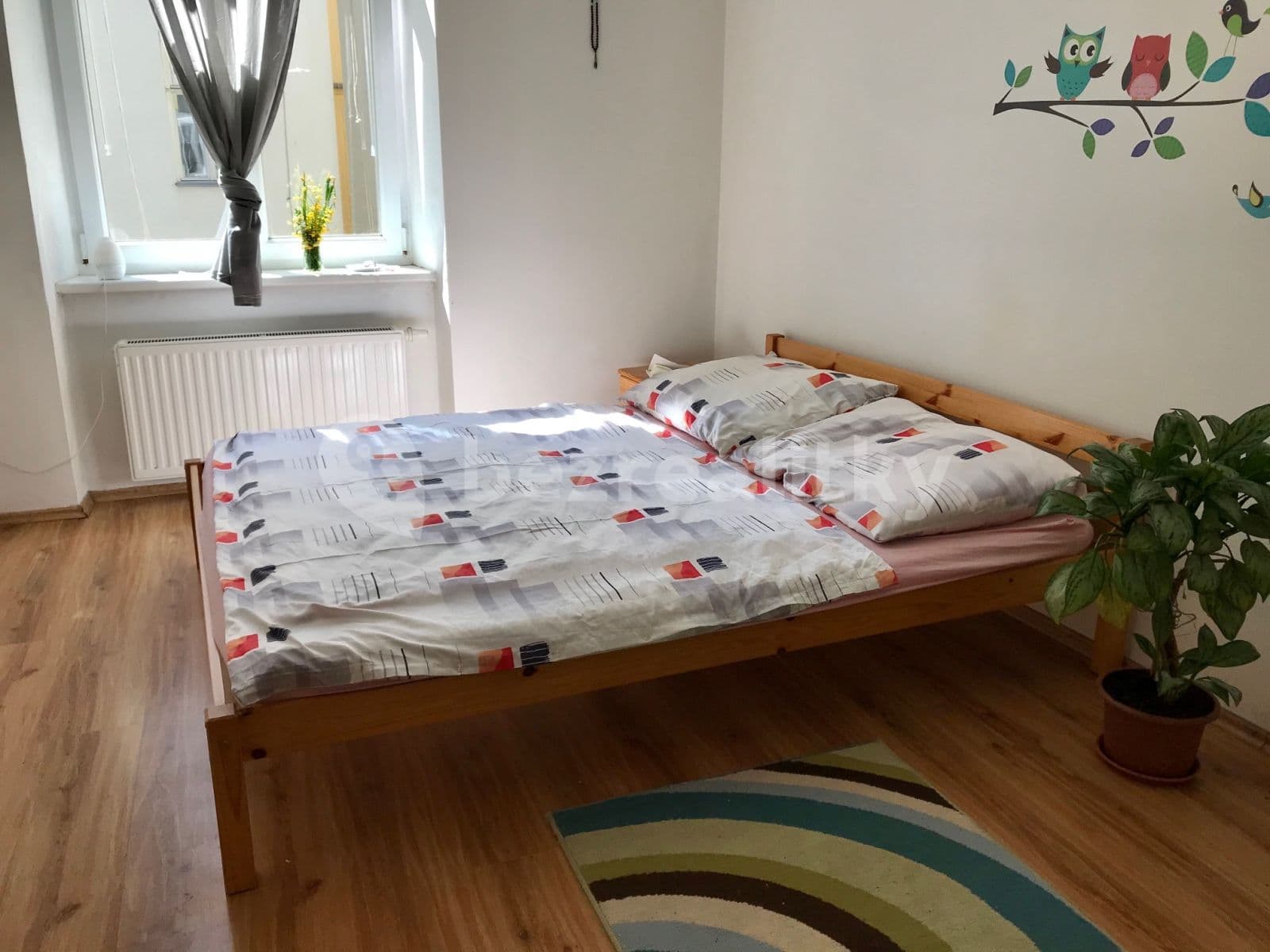 Pronájem bytu 2+kk 36 m², Bratislavská, Brno, Jihomoravský kraj Pronájem bytu 2+kk 36 m², Bratislavská, Brno, Jihomoravský kraj