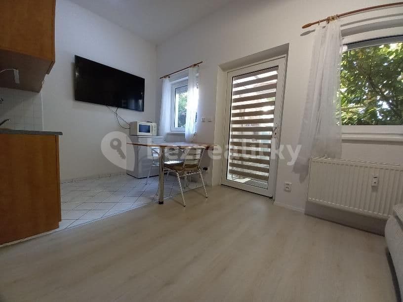 Pronájem bytu 1+kk 30 m², Staniční, Plzeň, Plzeňský kraj Pronájem bytu 1+kk 30 m², Staniční, Plzeň, Plzeňský kraj