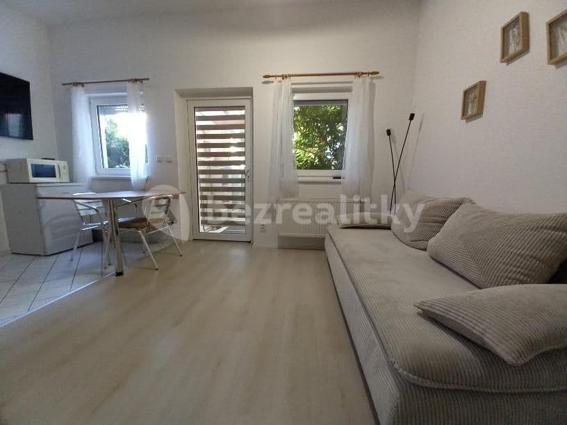 Pronájem bytu 1+kk 30 m², Staniční, Plzeň, Plzeňský kraj Pronájem bytu 1+kk 30 m², Staniční, Plzeň, Plzeňský kraj