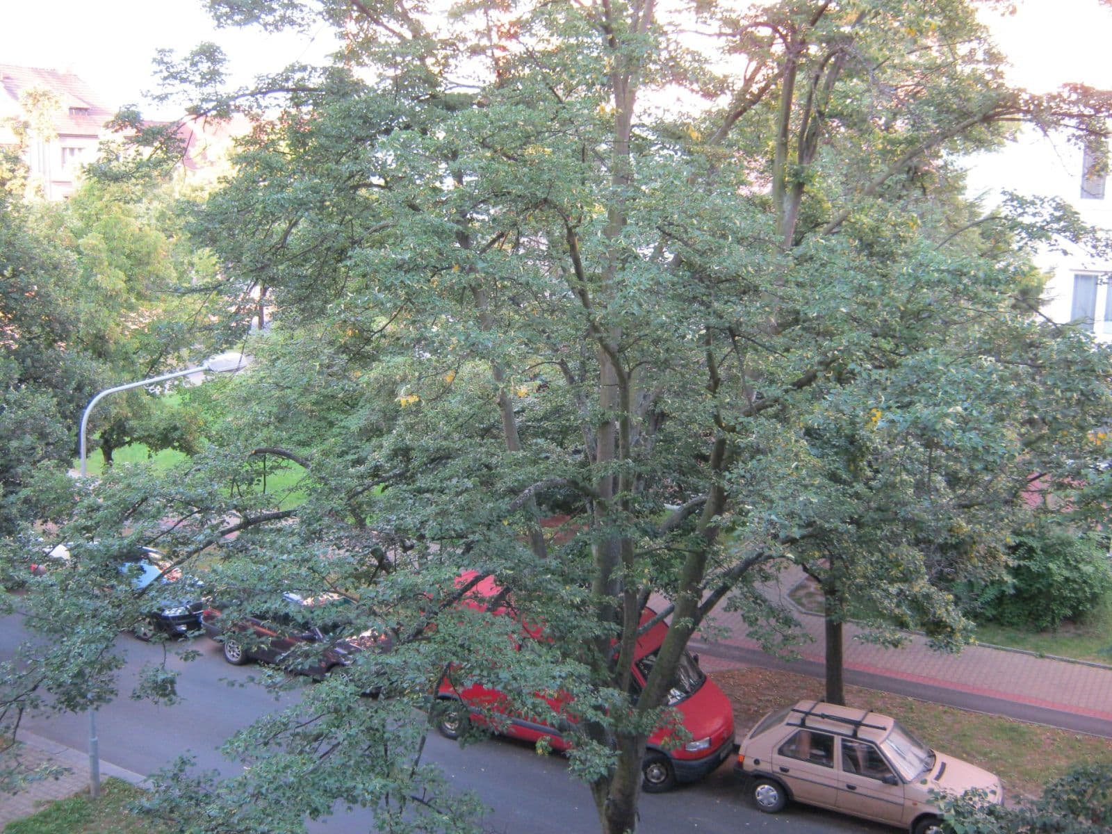 Pronájem bytu 2+1 55 m², Brojova, Plzeň, Plzeňský kraj Pronájem bytu 2+1 55 m², Brojova, Plzeň, Plzeňský kraj