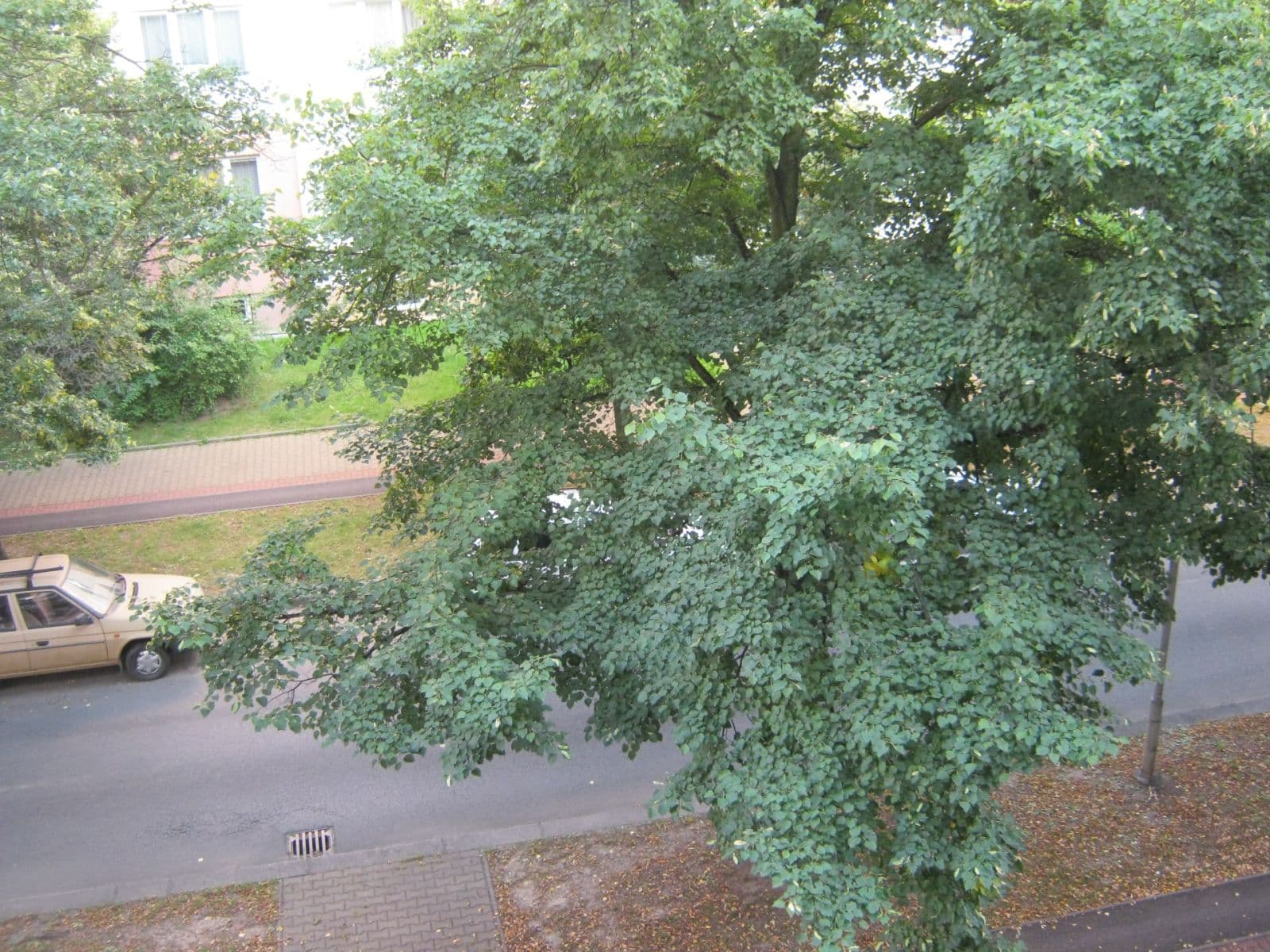 Pronájem bytu 2+1 55 m², Brojova, Plzeň, Plzeňský kraj Pronájem bytu 2+1 55 m², Brojova, Plzeň, Plzeňský kraj