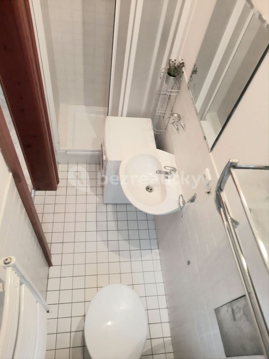 Pronájem bytu 1+kk 18 m², Vlkova, Praha, Praha Pronájem bytu 1+kk 18 m², Vlkova, Praha, Praha