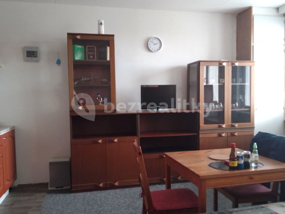 Pronájem bytu 1+kk 33 m², Velkopavlovická, Brno, Jihomoravský kraj Pronájem bytu 1+kk 33 m², Velkopavlovická, Brno, Jihomoravský kraj