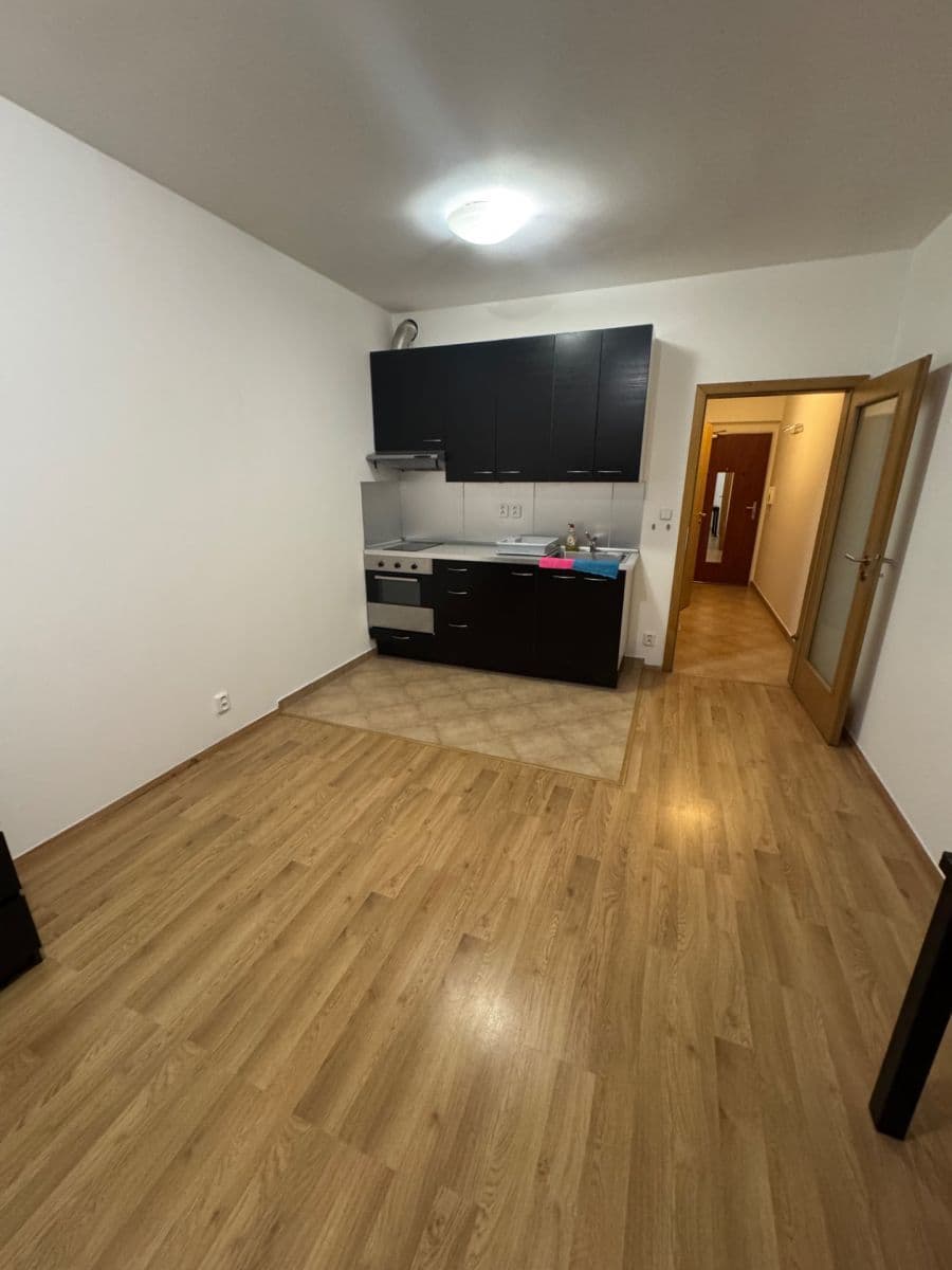 Pronájem bytu 1+kk 30 m², Sazovicka, Praha, Praha Pronájem bytu 1+kk 30 m², Sazovicka, Praha, Praha