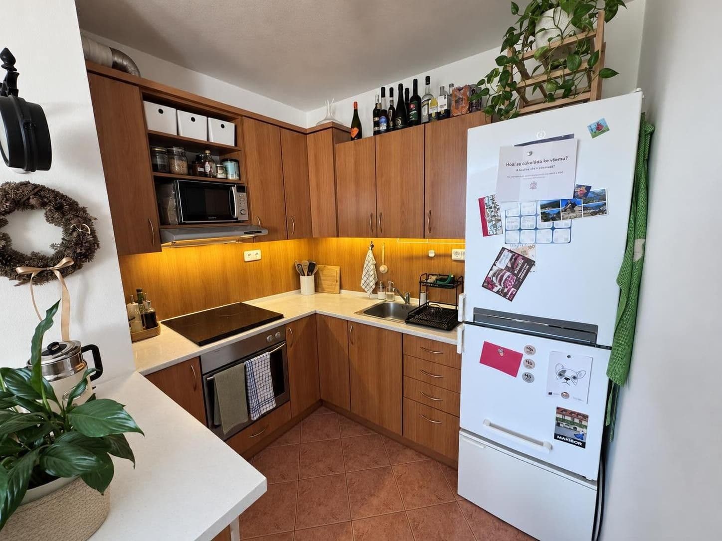 Pronájem bytu 2+kk 60 m², Dusíkova, Brno, Jihomoravský kraj Pronájem bytu 2+kk 60 m², Dusíkova, Brno, Jihomoravský kraj