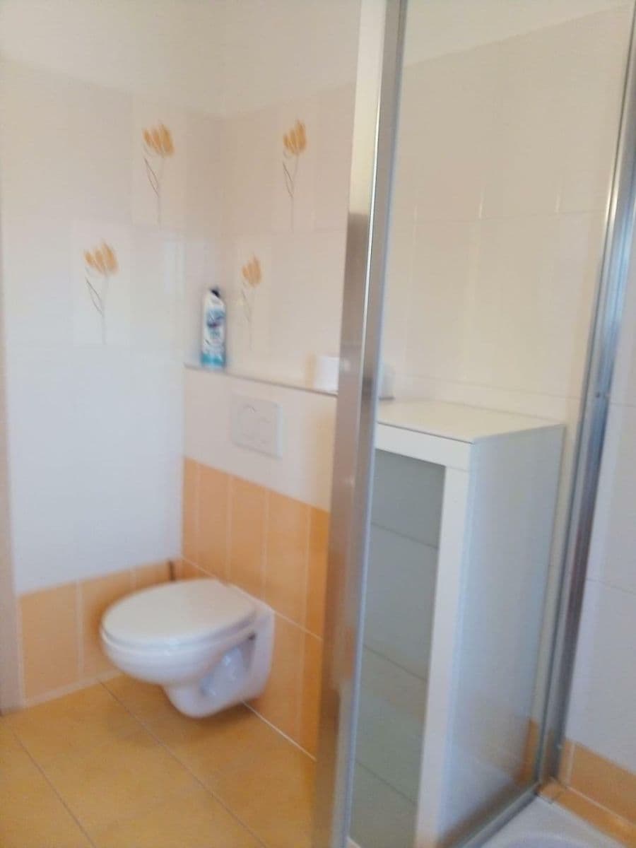 Pronájem bytu 1+kk 35 m², Hobzíkova, Opava, Moravskoslezský kraj Pronájem bytu 1+kk 35 m², Hobzíkova, Opava, Moravskoslezský kraj