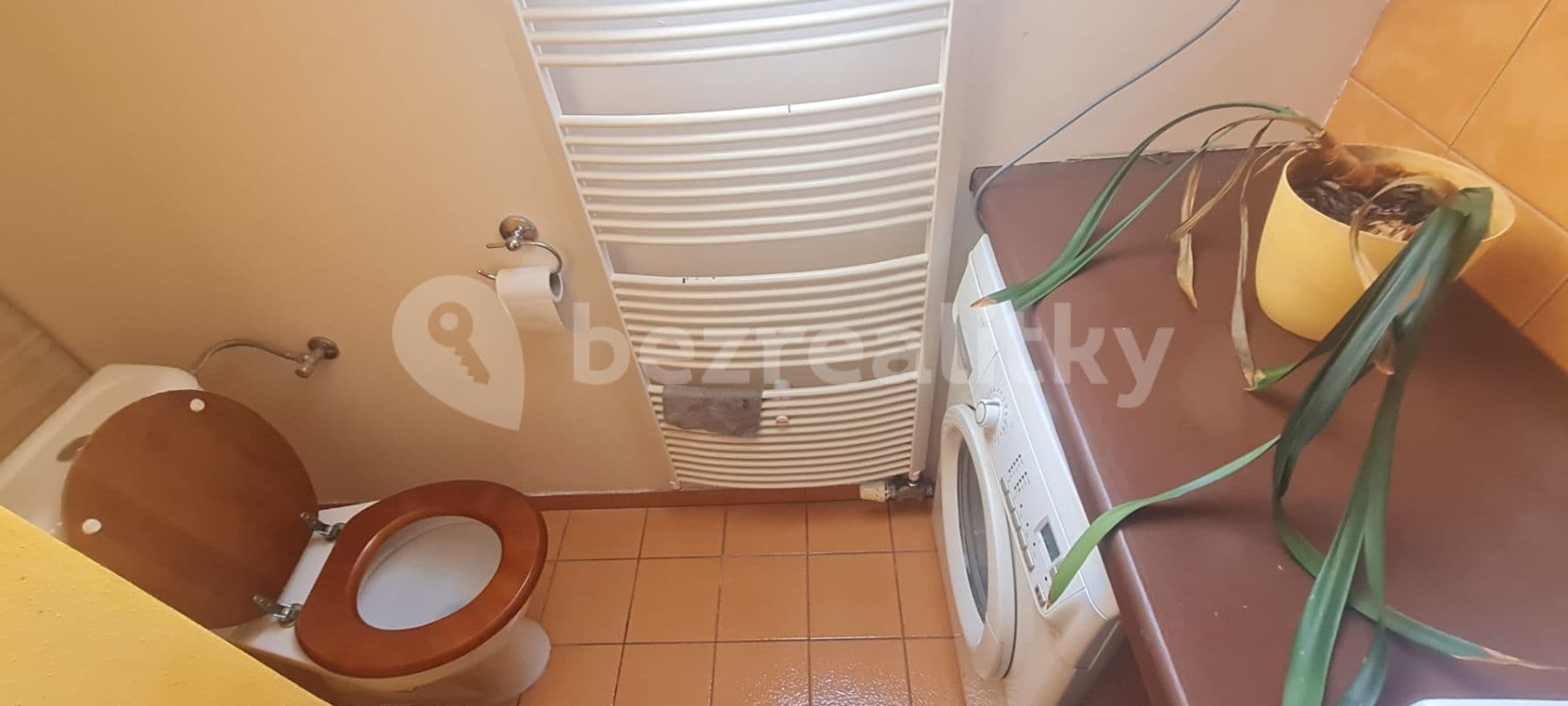Pronájem bytu 1+kk 55 m², Kohoutova, Brno, Jihomoravský kraj Pronájem bytu 1+kk 55 m², Kohoutova, Brno, Jihomoravský kraj