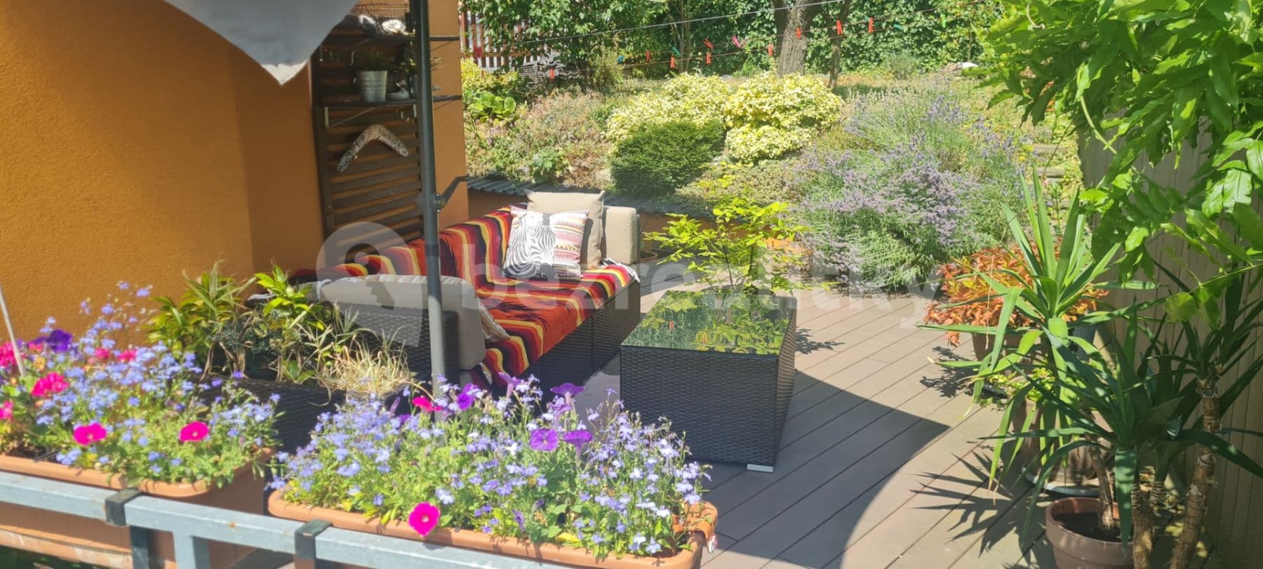 Pronájem bytu 1+kk 55 m², Kohoutova, Brno, Jihomoravský kraj Pronájem bytu 1+kk 55 m², Kohoutova, Brno, Jihomoravský kraj