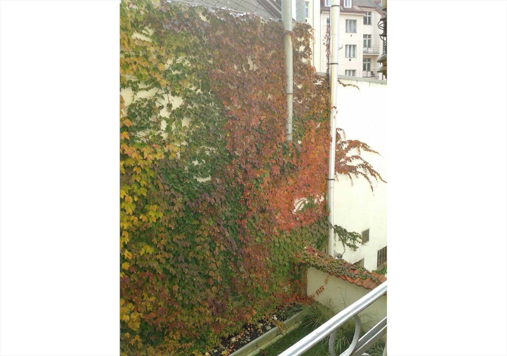 Pronájem bytu 2+kk 40 m², Na spojce, Praha, Praha Pronájem bytu 2+kk 40 m², Na spojce, Praha, Praha