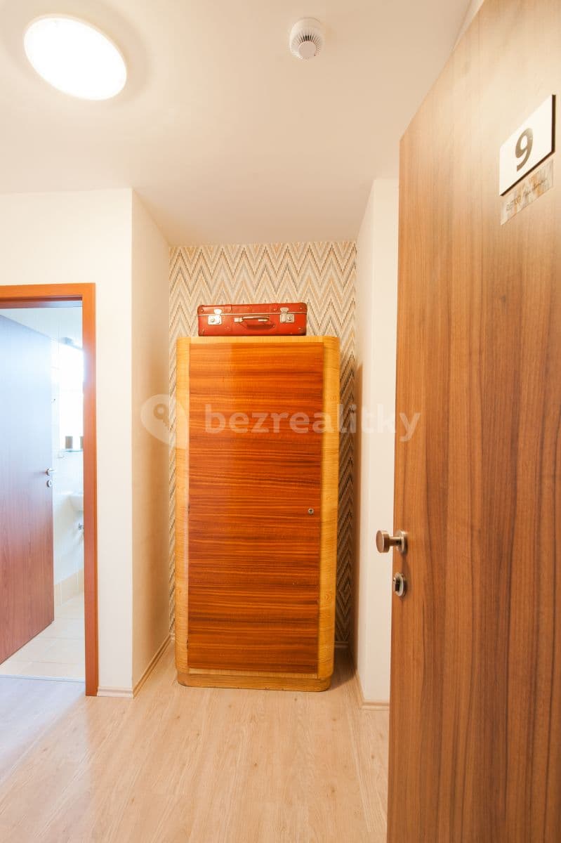 Pronájem bytu 1+kk 31 m², Kounicova, Brno, Jihomoravský kraj Pronájem bytu 1+kk 31 m², Kounicova, Brno, Jihomoravský kraj