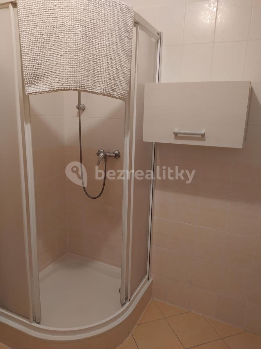 Pronájem bytu 1+kk 41 m², Slévačská, Praha, Praha Pronájem bytu 1+kk 41 m², Slévačská, Praha, Praha