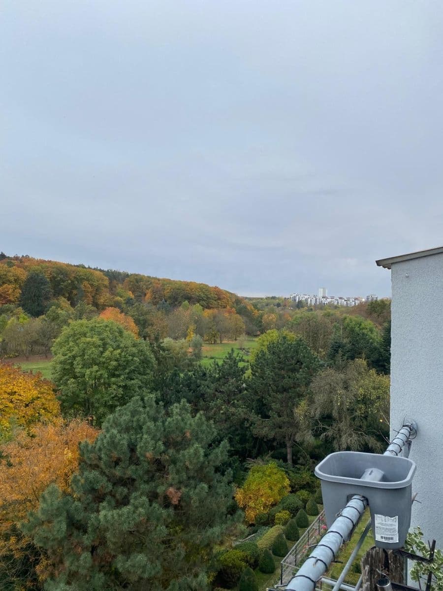 Pronájem bytu 2+kk 86 m², Pod Hloubětínskou Zastávkou, Praha, Praha Pronájem bytu 2+kk 86 m², Pod Hloubětínskou Zastávkou, Praha, Praha