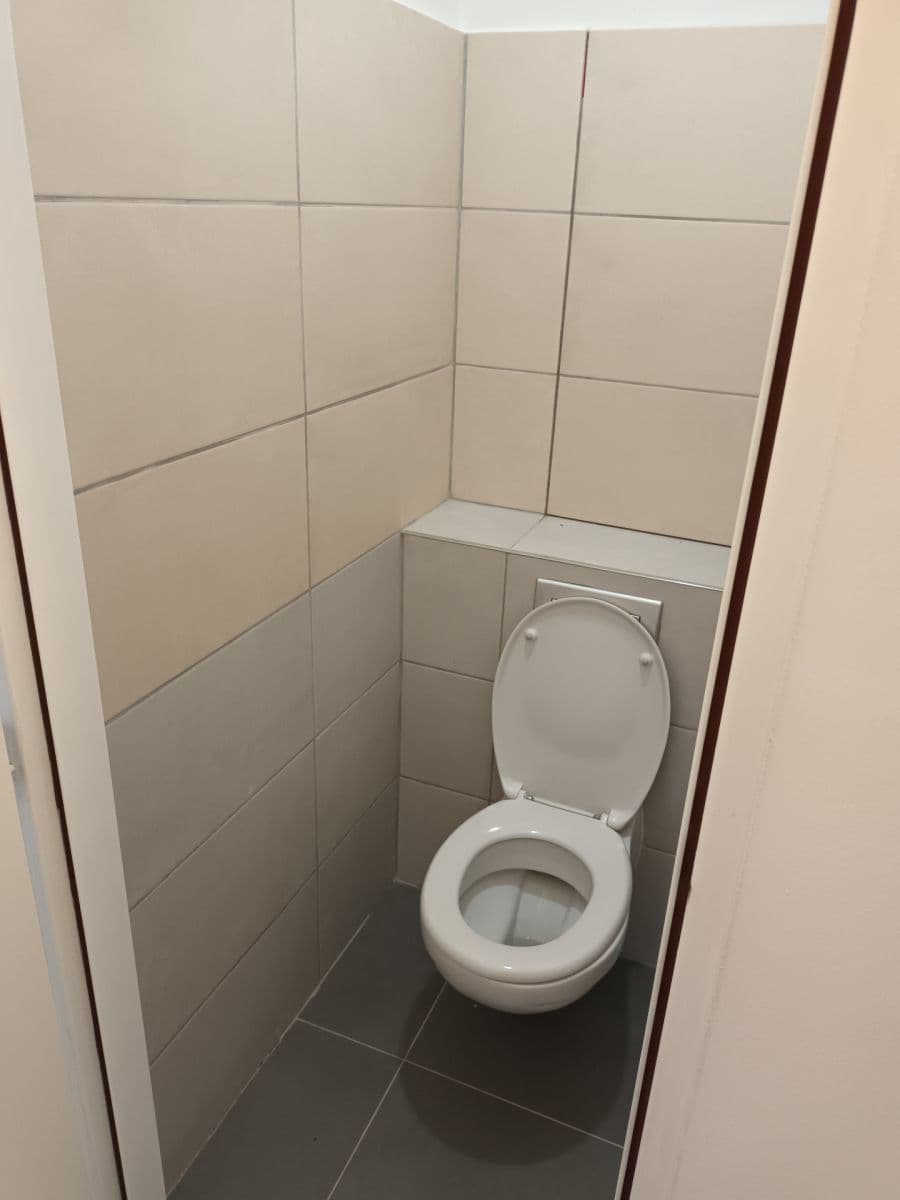 Pronájem bytu 2+1 51 m², Hostýnská, Praha, Praha Pronájem bytu 2+1 51 m², Hostýnská, Praha, Praha