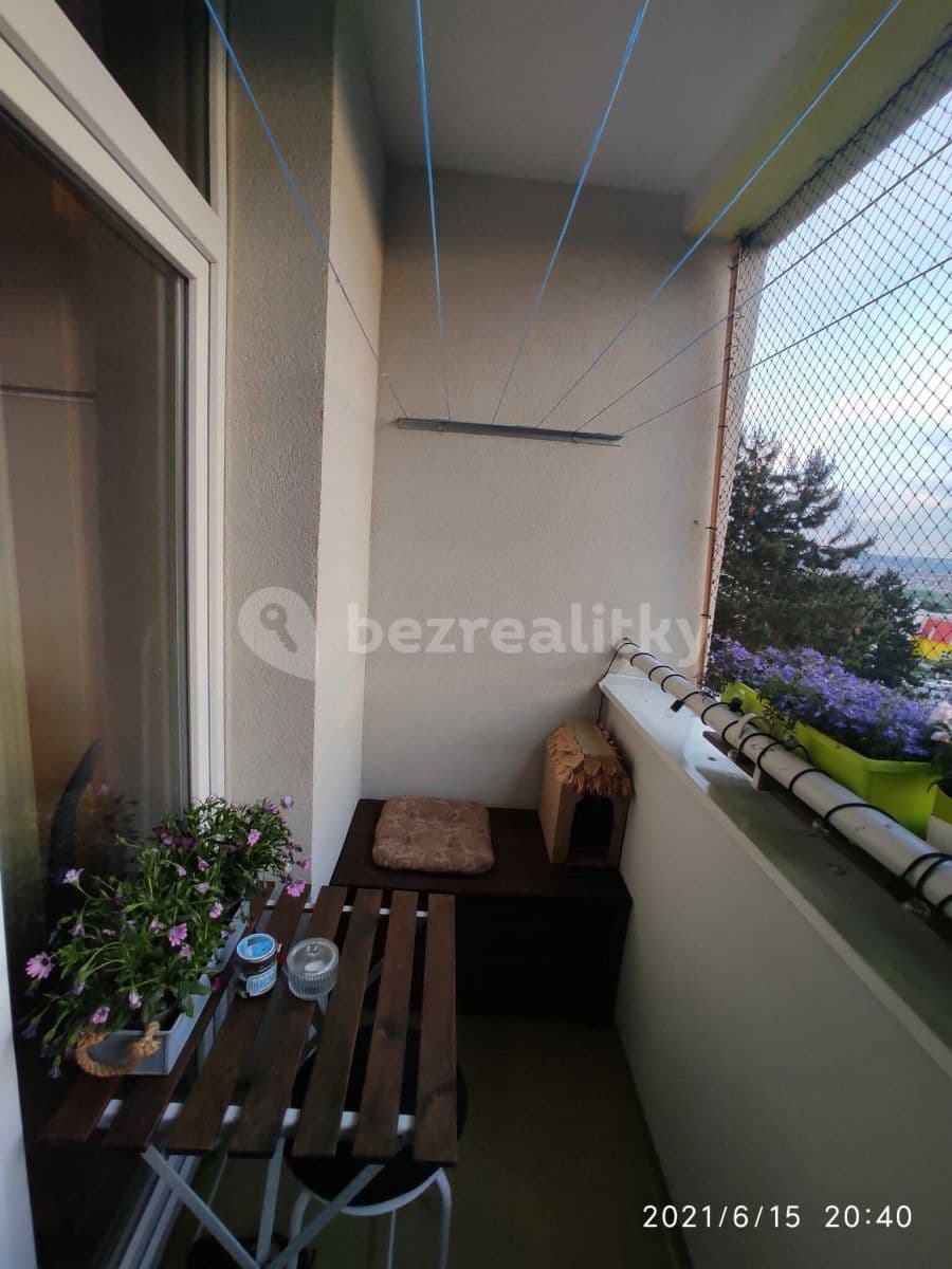 Pronájem bytu 1+1 32 m², Halasovo náměstí, Brno, Jihomoravský kraj Pronájem bytu 1+1 32 m², Halasovo náměstí, Brno, Jihomoravský kraj