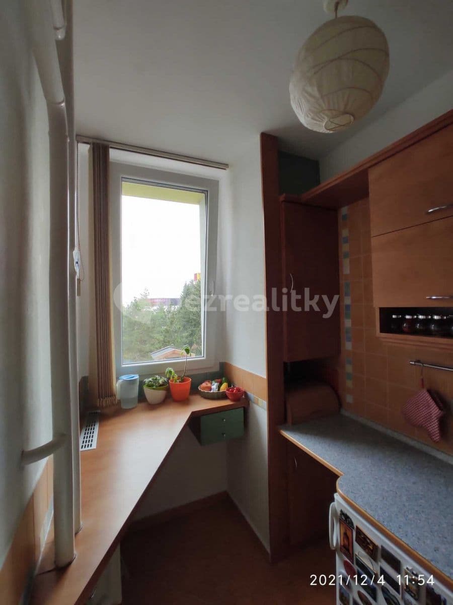 Pronájem bytu 1+1 32 m², Halasovo náměstí, Brno, Jihomoravský kraj Pronájem bytu 1+1 32 m², Halasovo náměstí, Brno, Jihomoravský kraj