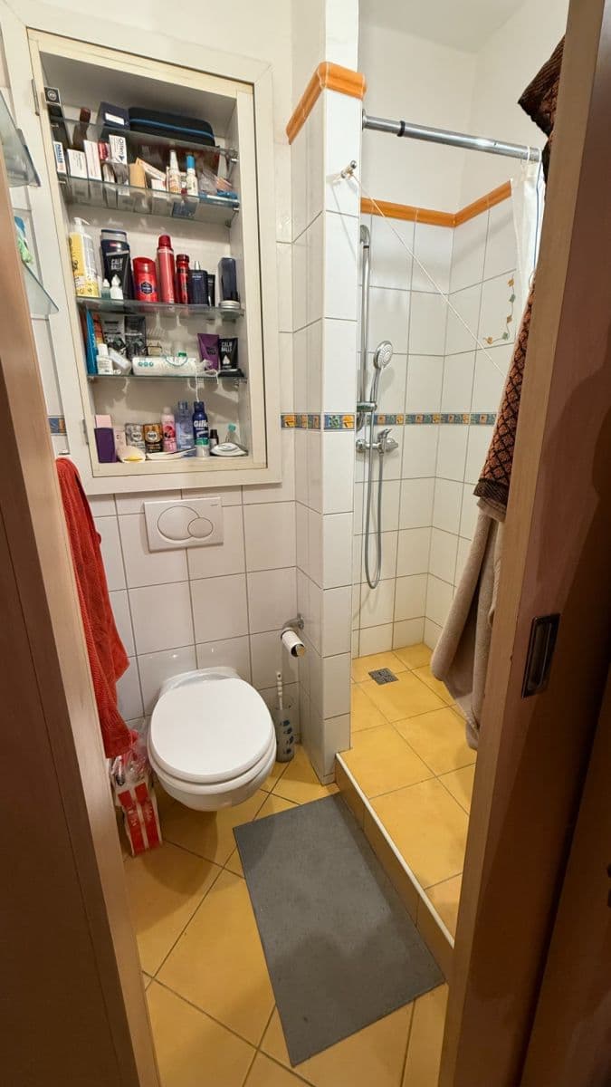 Pronájem bytu 1+1 32 m², Halasovo náměstí, Brno, Jihomoravský kraj Pronájem bytu 1+1 32 m², Halasovo náměstí, Brno, Jihomoravský kraj