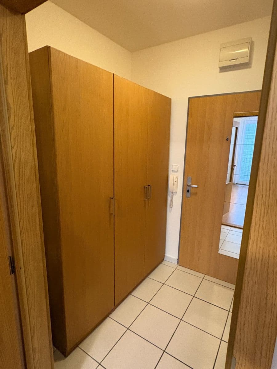 Pronájem bytu 1+kk 41 m², Božetěchova, Brno, Jihomoravský kraj Pronájem bytu 1+kk 41 m², Božetěchova, Brno, Jihomoravský kraj