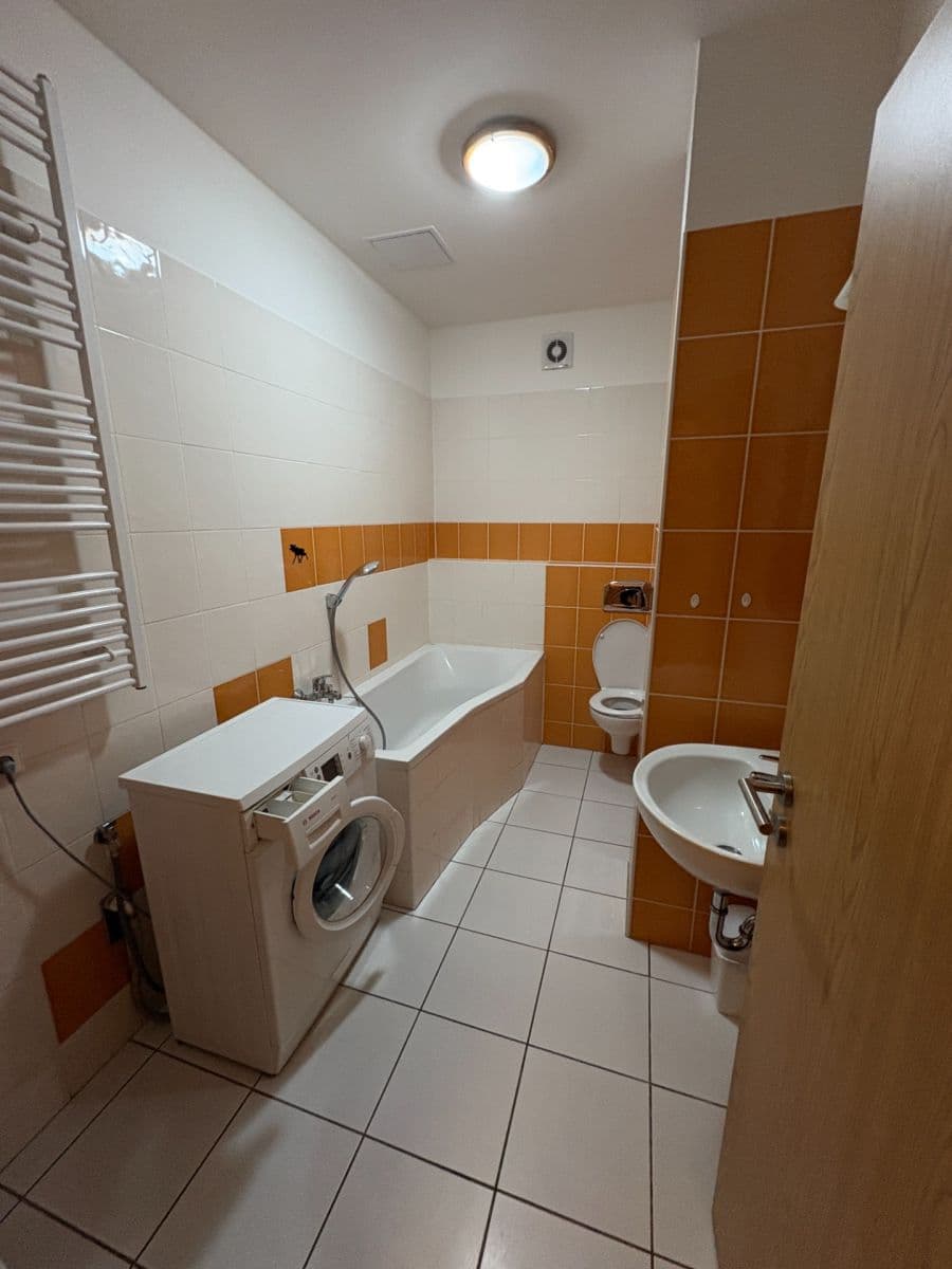 Pronájem bytu 1+kk 41 m², Božetěchova, Brno, Jihomoravský kraj Pronájem bytu 1+kk 41 m², Božetěchova, Brno, Jihomoravský kraj