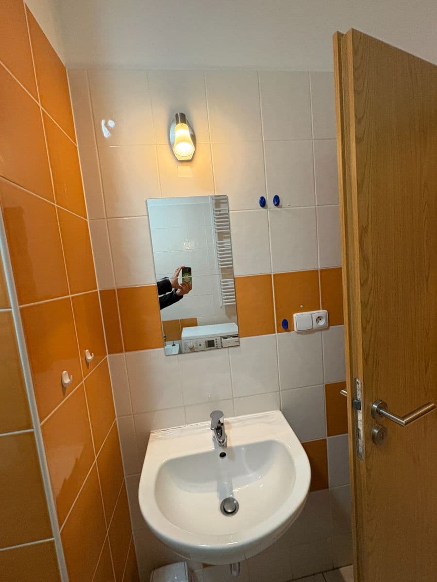 Pronájem bytu 1+kk 41 m², Božetěchova, Brno, Jihomoravský kraj Pronájem bytu 1+kk 41 m², Božetěchova, Brno, Jihomoravský kraj
