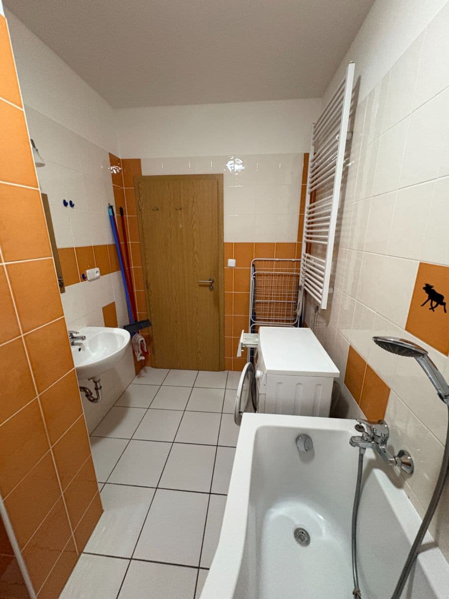 Pronájem bytu 1+kk 41 m², Božetěchova, Brno, Jihomoravský kraj Pronájem bytu 1+kk 41 m², Božetěchova, Brno, Jihomoravský kraj