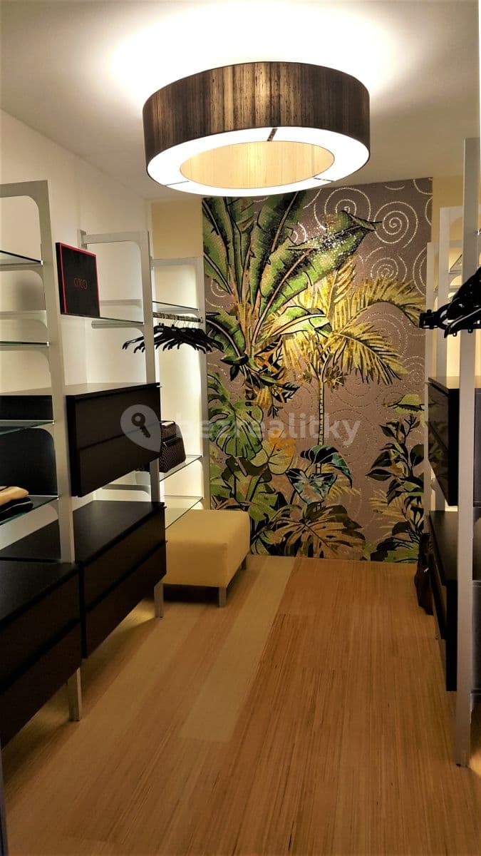 Pronájem bytu 3+kk 400 m², Merhautova, Brno, Jihomoravský kraj Pronájem bytu 3+kk 400 m², Merhautova, Brno, Jihomoravský kraj