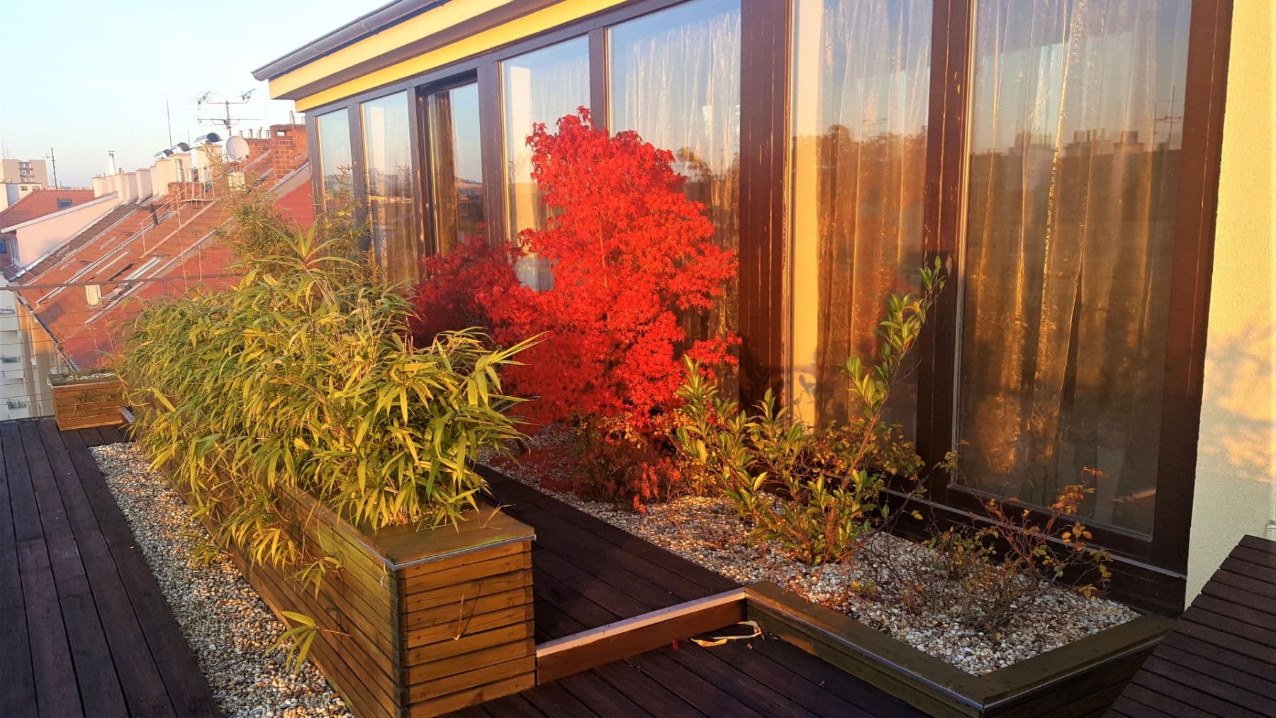 Pronájem bytu 3+kk 400 m², Merhautova, Brno, Jihomoravský kraj Pronájem bytu 3+kk 400 m², Merhautova, Brno, Jihomoravský kraj