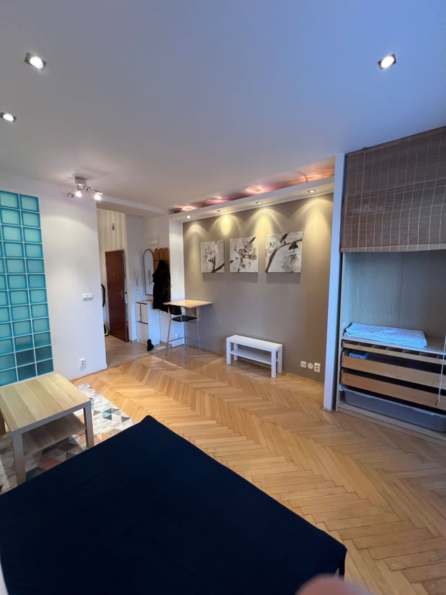 Pronájem bytu 1+kk 28 m², Cihlářská, Brno, Jihomoravský kraj Pronájem bytu 1+kk 28 m², Cihlářská, Brno, Jihomoravský kraj