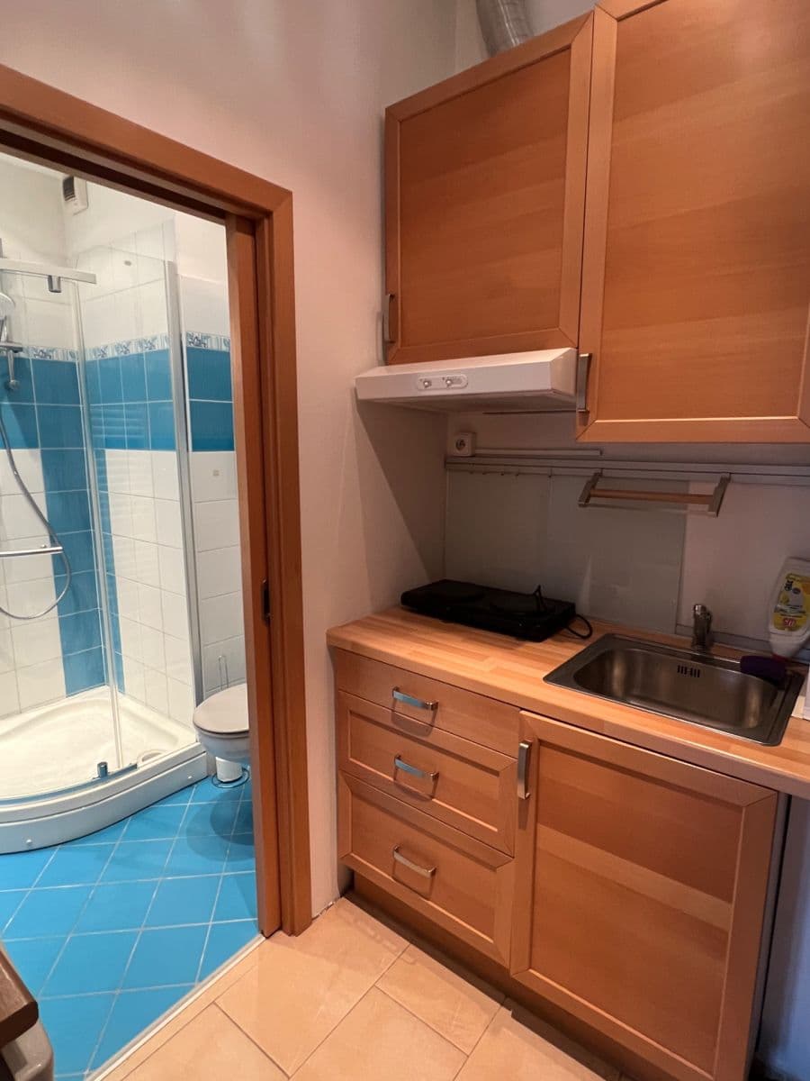 Pronájem bytu 1+kk 28 m², Cihlářská, Brno, Jihomoravský kraj Pronájem bytu 1+kk 28 m², Cihlářská, Brno, Jihomoravský kraj